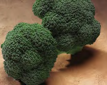 EMERALD CROWN Broccoli