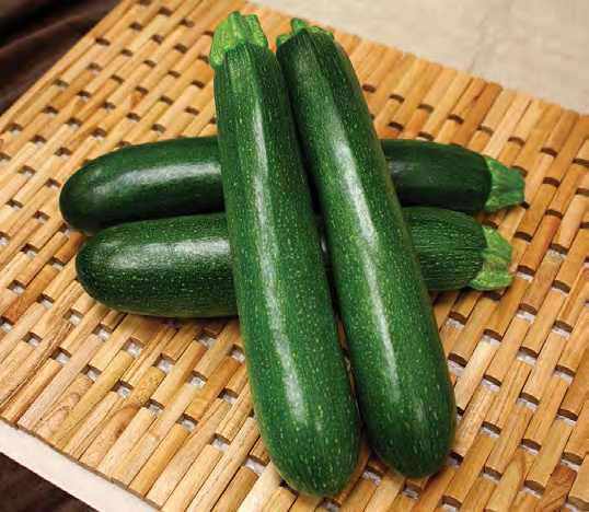 ENDEAVOR Zucchini
