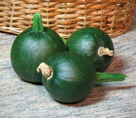 BOCCE Zucchini