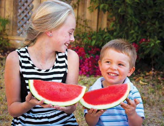 ECLIPSE Watermelon
